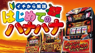 【ENG SUB】"Hanahana for Beginners": We explain everything about how to play Hanahana!