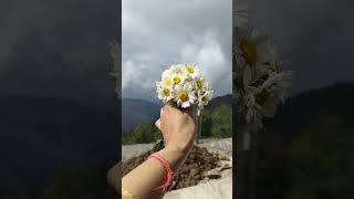 #travel #nature #youtubeshorts #subscribe #like4like