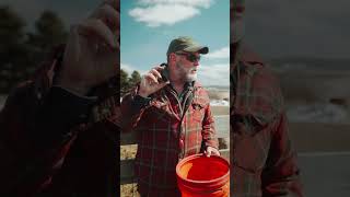 Feeding charcoal to animals #homestead #homesteading  #biochar