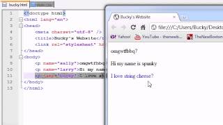 HTML5 Tutorial   5   Attribute Selectors   YouTube