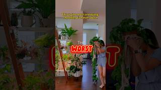 The WORST Repot #shorts #houseplants #indoorplants #plantcare #tips #pothos #repotting #propagation