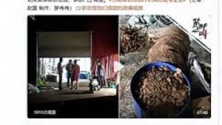广西村民山中发现炼动物油作坊：随处可见蛆虫和老鼠