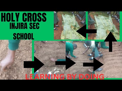 Holy Cross  Injira , Agriculture learning resource project #Agriculture #backbone #economy #viral