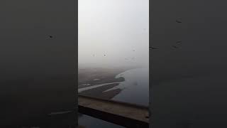 purana ravi pull smog and Eagles#youtube #youtubeshorts #youtube