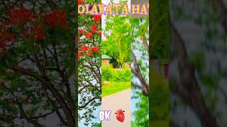 trending amazing 🥰video editing kaise karen || #shorts #viralshort