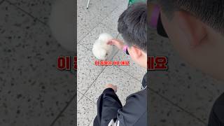 세상에서 가장 귀여운 동물