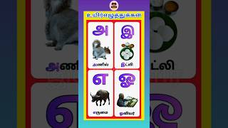 தமிழ் உயிர் எழுத்துக்கள்|அஆஇஈ|tamil uyireluthukka|tamil alphabet|@ilanthalir0123
