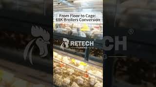 Philippines 68,000 Modern Broiler Farm Conversion Project- RETECH Farming #chickenfarm #poultryfarm