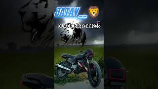 #blackbikes #viralvideo #trending #