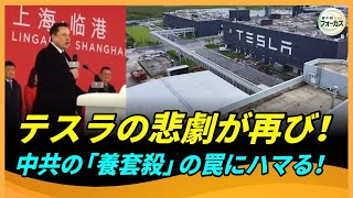 Tesla's tragedy repeats! Falling into the Chinese Communist Party's "massacre" trap, it's heading...