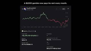 Runner Bot - A free analysis bot for memecoins on Solana#aianalysis #solana #trading #crypto