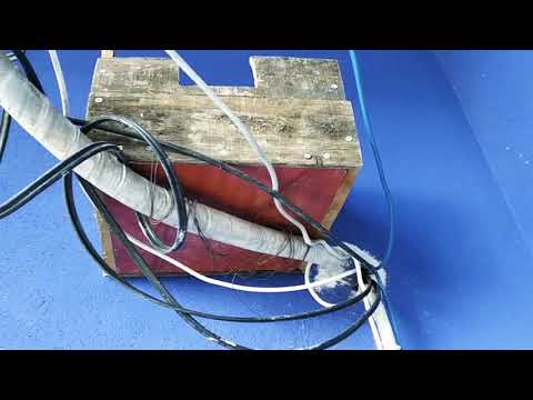 Doğadaki Yabani Kuşa Yuva Yapımı