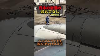 Japanese Airport Hospitality