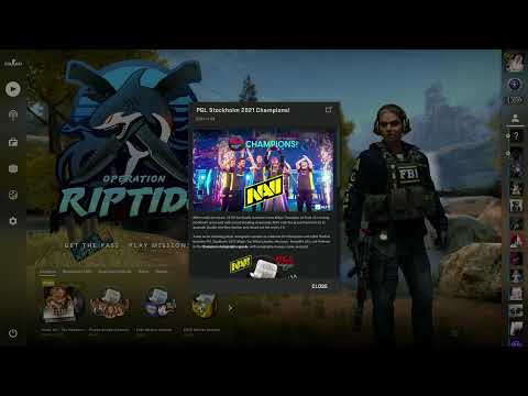 Freddy Live Stream
