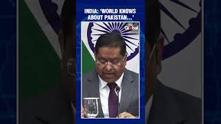 MEA: Pakistan’s Terror Support Blocks Regional Peace | #india #shorts