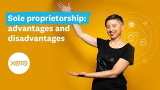 Advantages and disadvantages of sole proprietorship (US) | Small Business Guides | Xero