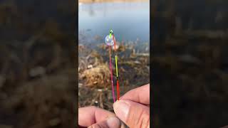 Phao câu lure đa năng, siêu tiện lợi - Fishing Float Ball #3 #fishing #fishingfloat #shorts