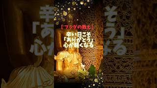 【ブッダの教え】辛い日こそ｢ありがとう｣心が軽くなる #仏教 #ブッダの教え #人生智慧 #感謝 #辛い日に聞きたい言葉