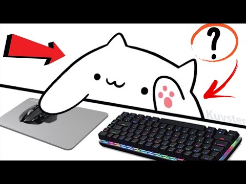 How To Get And Set Up BONGO CAT Face Cam v2! (OBS) | [WORKING 2020]