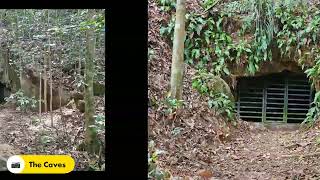 Hiking to Bukit Timah Nature Reserve via Beauty World.