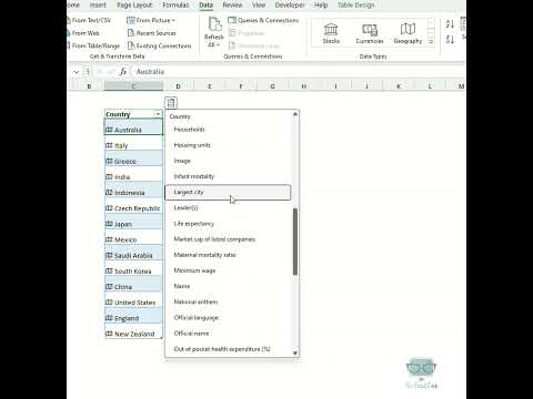 How to use the Geography Function in Microsoft Excel | The Excel Lab #microsoft #excel #courses