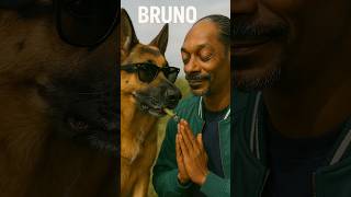 Imagine Dogs Lit!