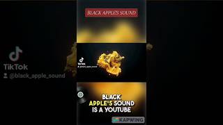 BLACK APPLE'S SOUND - LOFI HIP HOP #music #lofihiphop #beats #studybeats #studylofi