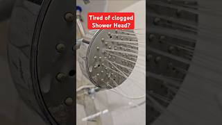 How to clean Shower Head | Tips & Tricks 23 | #shower #cleanshower #cloggedshower #cleantok #hack