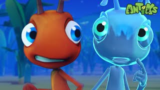 Vanishing Ant | Antiks 🐜 | Funny Cartoons for Kids