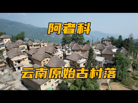 云南原始村落阿者科，蘑菇房独一无二，仿佛走进童话世界