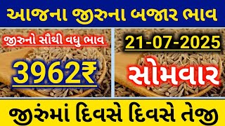 Today's Market Price of Cumin || Cumin Price||3962||Gujarat Market Yard Price||Jeera Price Rising Day by Day