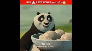 पांडा 🐼 ने कैसे सीखा kung-fu 😱 | #shorts #cartoon #animationvideo