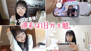 カップルばりに長時間ビデオ通話で勉強！？テスト直前の週末は1日ガチ勉強！📝