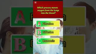 Human physiology mcqs #biologymcqs #humanbodysystem #biologyquiz #quiz #biomcqs