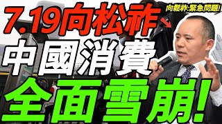 【7.19向松祚】消費雪崩！14億人也救不動，房價跌、收入降、沒保障！未來怎麼辦？