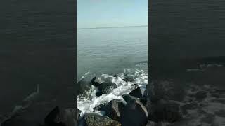 #infotegal #exploretegal #pantaiemje #pantai #muarareja #tegalkotabahari