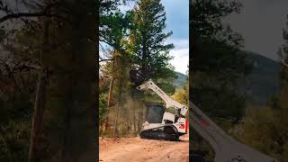 Expert tree mulching! 💥 #mulch #mulcher #mulching #forestry #forestrylife #forestrymachinery