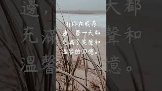 每日一句愛情語錄 浪漫愛情語錄分享 心動的愛情句子 愛的名言 EP 50 #shorts #傷感語錄 #心動 #愛情語錄 #感情語錄