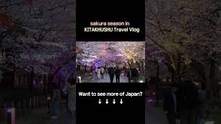 Kitakyushu Spring Vibes｜北九州 桜の香りとともに｜北九州春日旅程開幕 #travel #japantravel #japanesefood