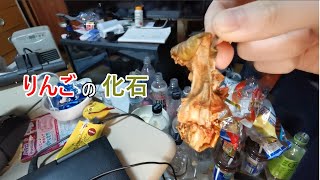 【※閲覧注意】引きこもりニートゲーム中毒者のお部屋紹介動画
