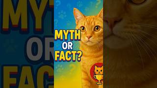 Are You a Real Cat Genius #cat #catgenius #catlovers