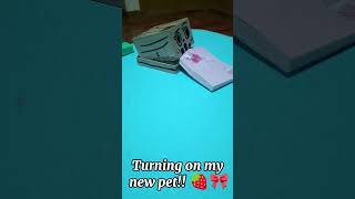 My new pet!! 🍓🎀  #fyp #robot #pet #robotpet #boxpet #:3