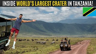 Ngorongoro Crater: The Most Incredible Wildlife Haven! 🇹🇿