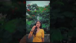 New aadivasi stetus 🎋aadivasi stetus 2024 💫#aadistarlover