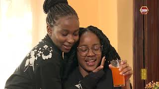 Stringed Season 27 Episode 12