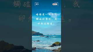每日一句愛情語錄 浪漫愛情語錄分享 心動的愛情句子 愛的名言 EP 16 #shorts #愛情語錄 #愛的名言 #心動 #傷感語錄