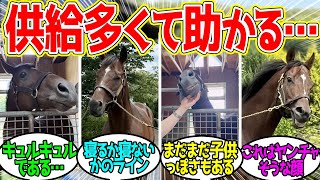 Doudeuse ← Everyone's reaction to Summer Meshikure (irregular updates)! [Horse Racing Reactions]