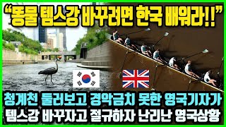 "런던 템스강 바꾸려면 제발 한국 배워라!" 청계천 둘러 보고 경악금치 못한 영국 기자가 템스강 바꾸자고 절규하자 난리난 영국상황 #청계천