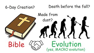 Evolution does NOT contradict the Bible