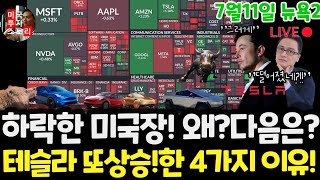 US stock market / 2 reasons for the decline! Tesla falls and rebounds! Why? Nvidia Google Apple A...